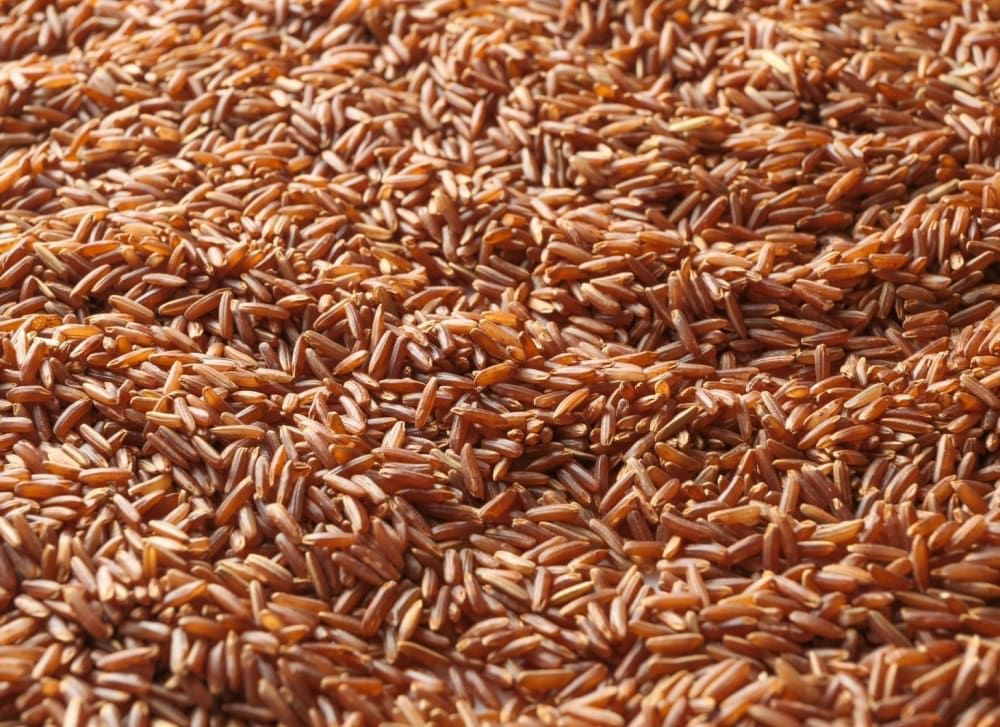 red-rice-benefits-a-complete-guide-to-nutrition-recipes